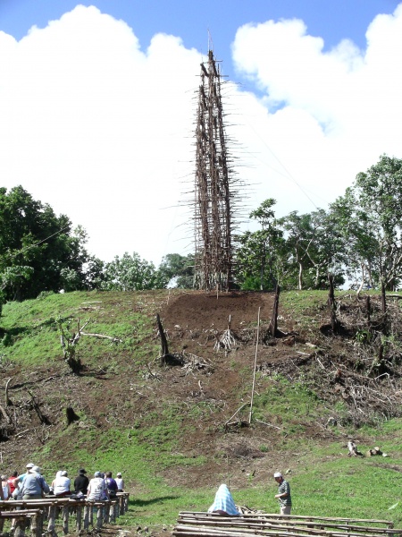 (The origin of bungee jumping) Each year the islanders build these towers and make breathtaking leaps, with vines wrapped around their ankles.  The best make the dangerous leap from the top. Traditionally this is done to ensure a good harvest, and it is a "rite of passage" for young men. 