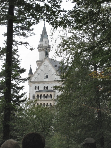 An exterior view through the trees.