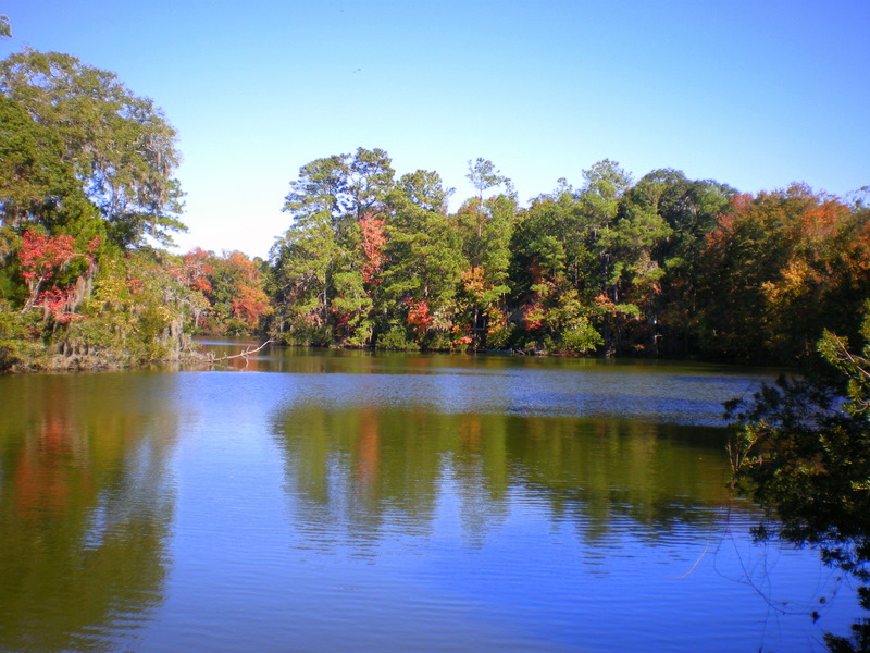 This little lake is close to where we live.  We pass it when we bike to the north end of the island.