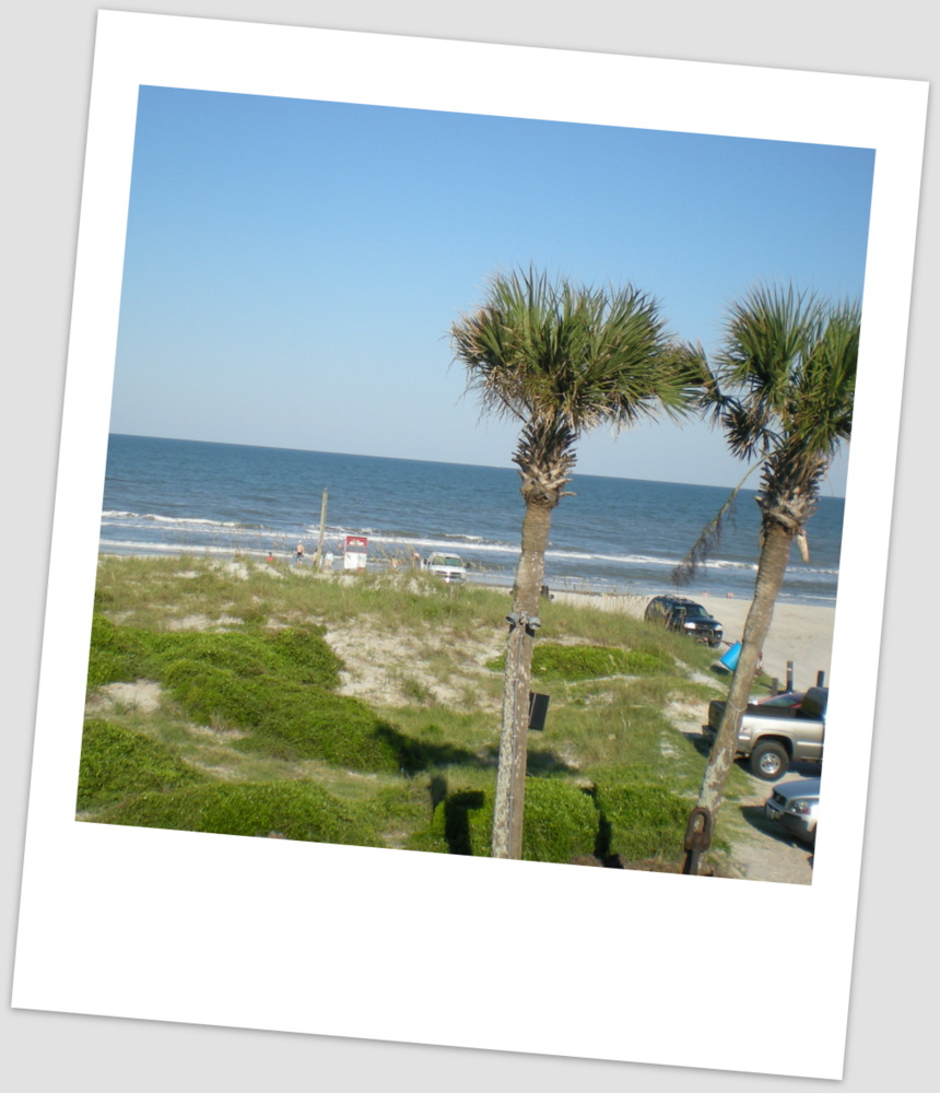 View from the upper deck at Sliders Restaurant in Fernandina Beach where Jaime and I had dinner