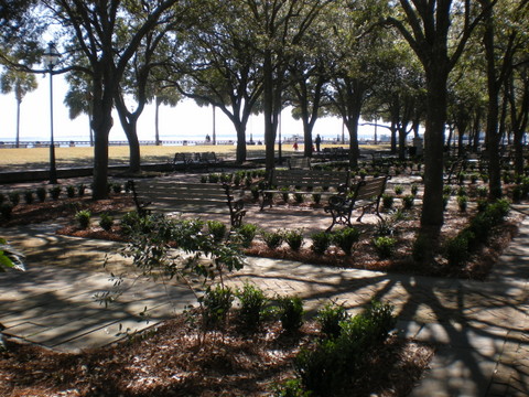 A quiet park in Charleston's Battery area 