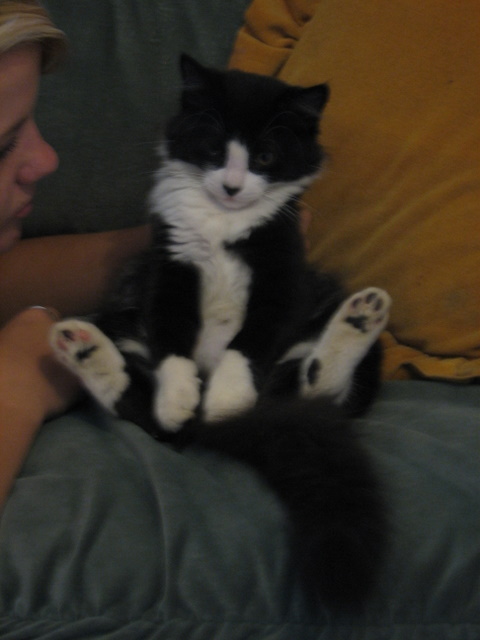 She probably didn't sit like this herself. I would say she was 'posed'!