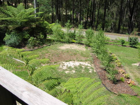 This is one of the first plantings we did. It was to disguise the septic tank!