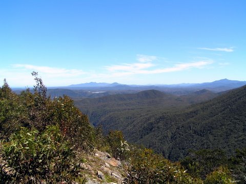 On Mt. Jukes Rd. Sth Queenstown to Lake Burbury [Darwin dam end.