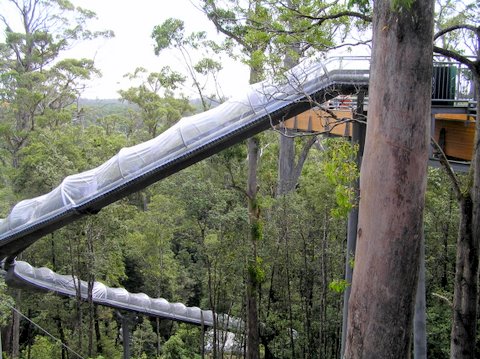 a thrill ride to the bottom of a limestone sink hole and a boardwalk amongst the blackwoods.