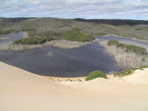 Sandy Cape