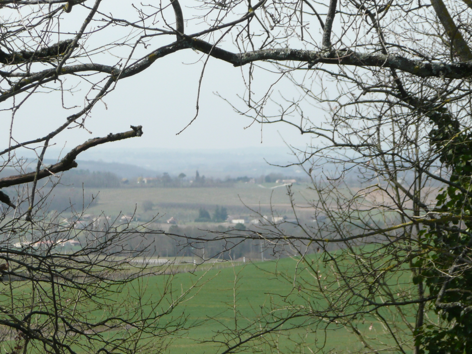 Jasper and I walk along this escarpment most days and watch this view change with the seasons 