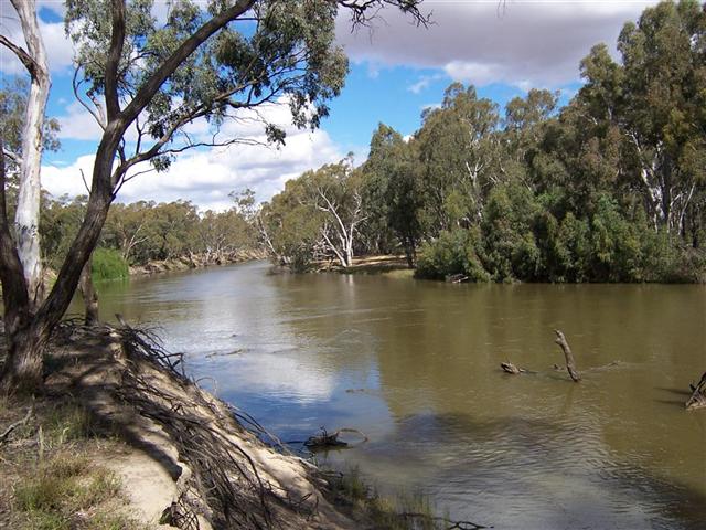 The lovely Edward River runs through our town