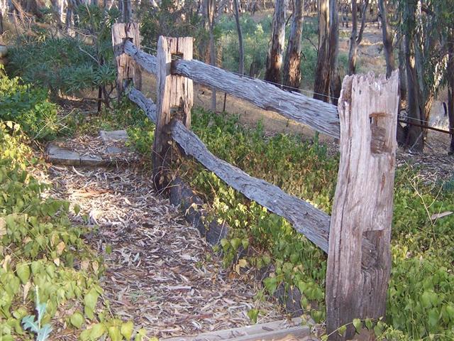 An old post and rail fence my husband found and relocated to our previous house - also my avatar