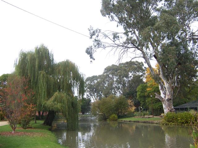 We have a beautiful park in the centre of town. It has a series of natural lagoons running though it.