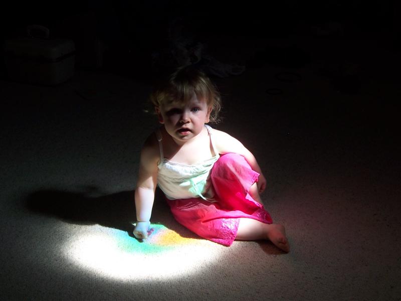 This was a fluke photo. There is a small round stained glass window in my wall and it throws a spotlight on the floor in the morning. Jemma was sitting in it  and I took this without a flash.