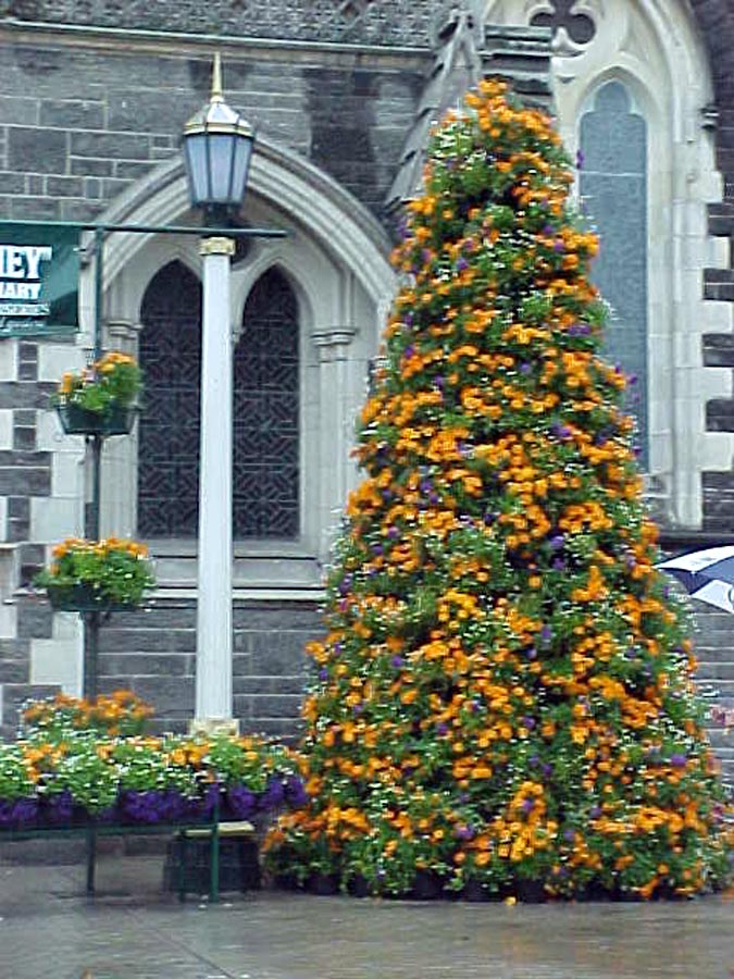 Christchurch Cathedral - Floral Pagent