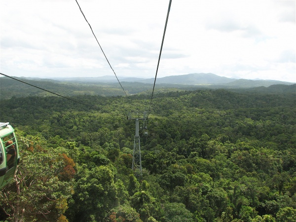 In Queensland we rode a gondola over the canopy of the rainforest.  