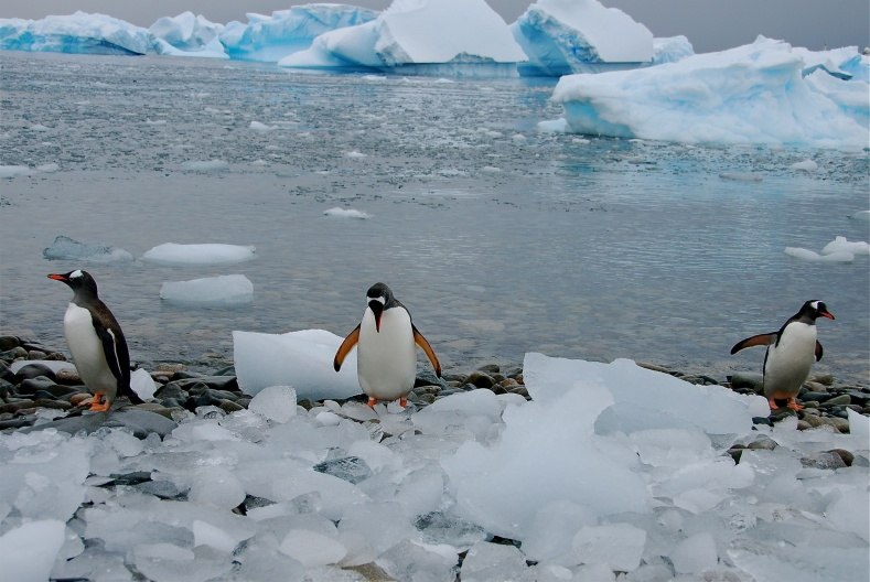 Antarctica
December 2008