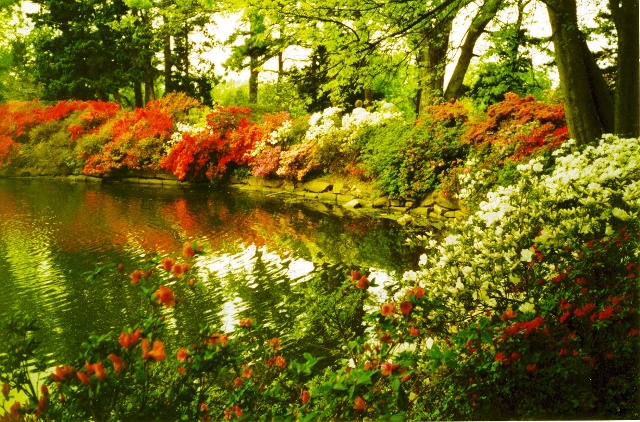 Azalea Festival, Muskogee, OK