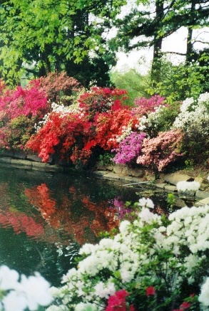 Azalea Festival, Muskogee, OK