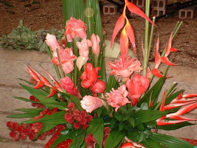 A bouquet with Emperor´s cane, Indonesian ginger and Jamaican dwarf heliconia.