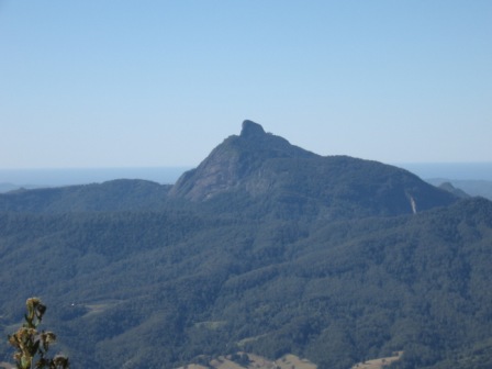 Mt Warning from Blackbutt's Lookout