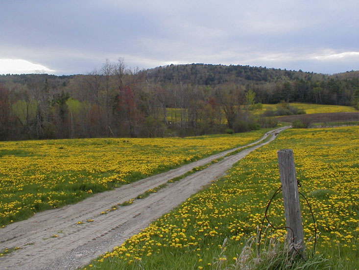 Androscoggin County, Maine