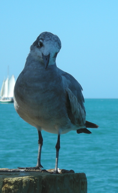 Key West, Florida