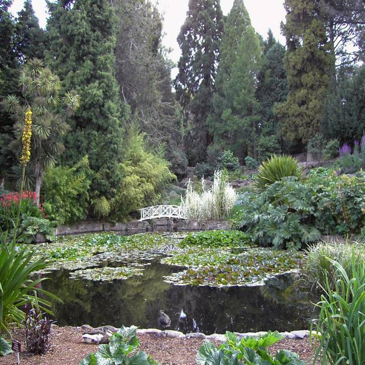 This looked like Monet's garden. Botanic garden in Hobart Tasmania.