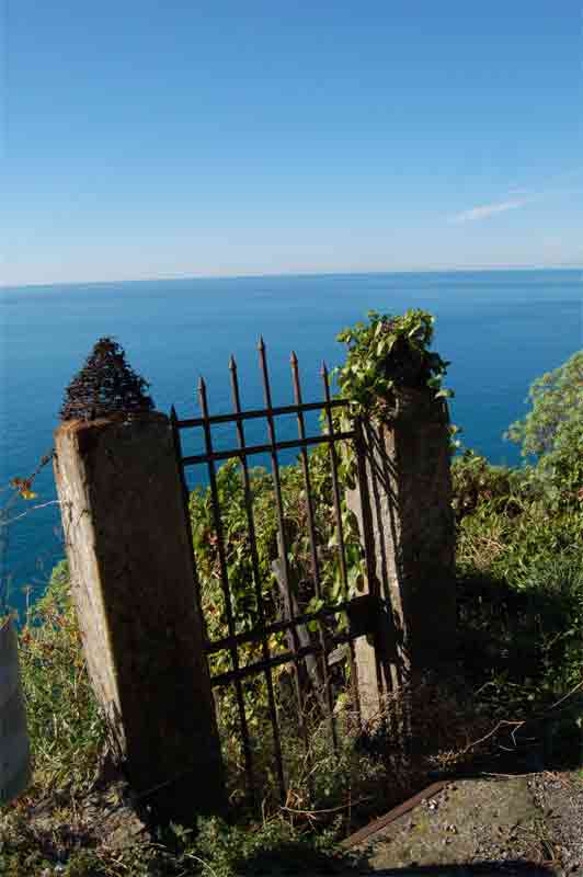 Up on top of the hill on our way down to Cinque Terre