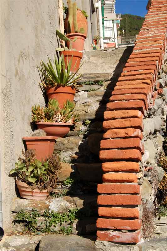 Italy - Street scene in Cinque Terre