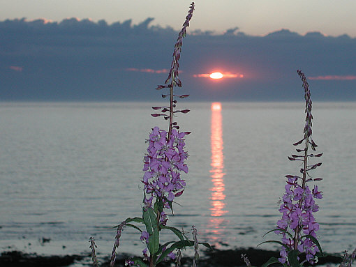 Sunset on St-Laurent river taken by Paul ....I miss his sunset so much!