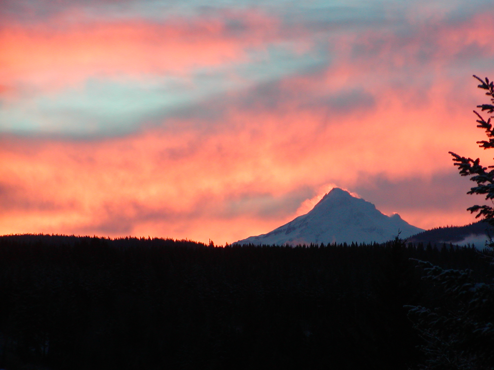 View of N.W side from my porch.