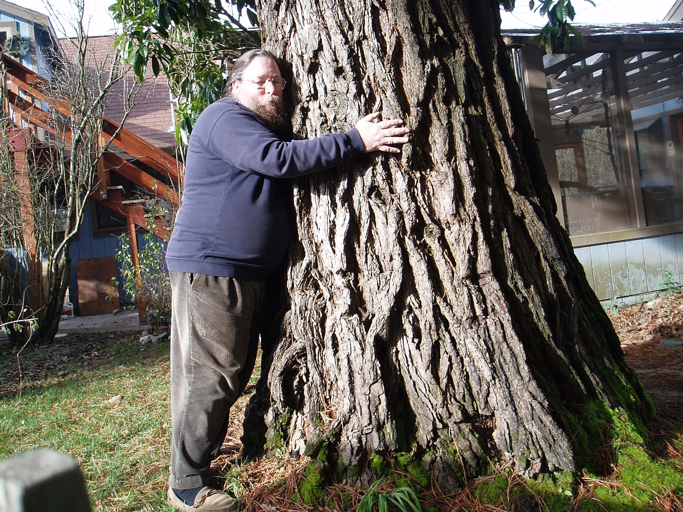 My own private Redwood in my back yard.