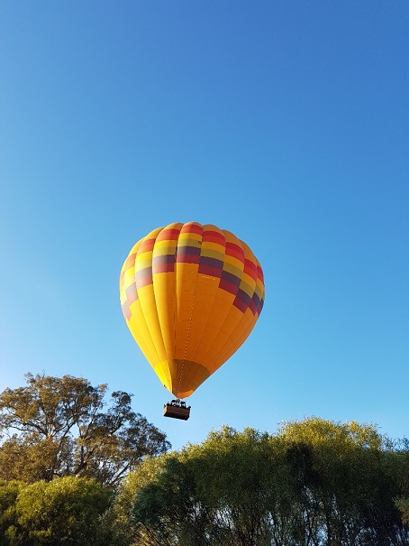 Taken by my son as we were going over some trees