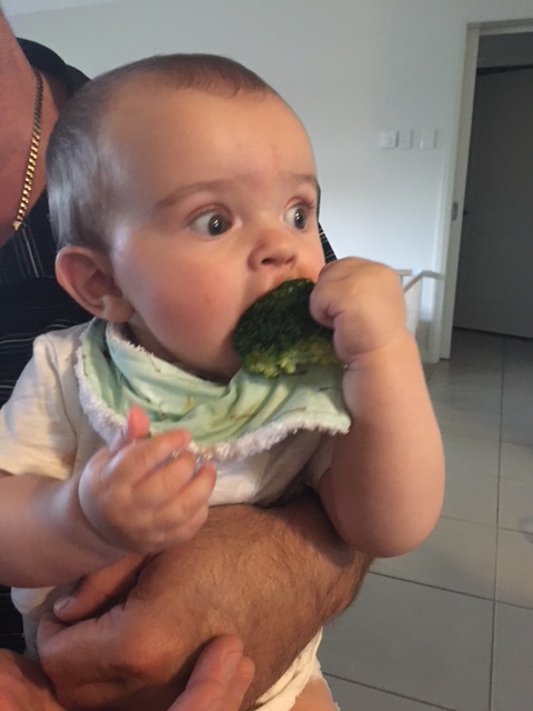 Enjoying some broccoli - 7 months old