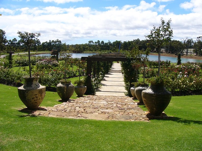 A view from our table at the winery