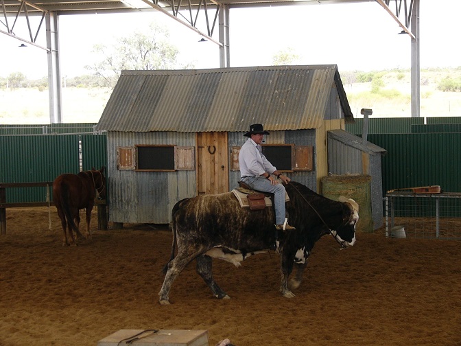 Some of the local entertainment we saw, along with the Stockman's Hall of Fame and the Qantas Museum and more.