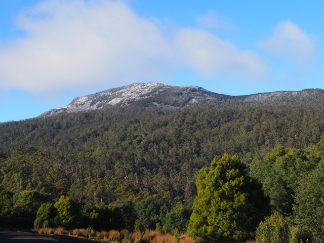 Our annual sprinkling of snow.  