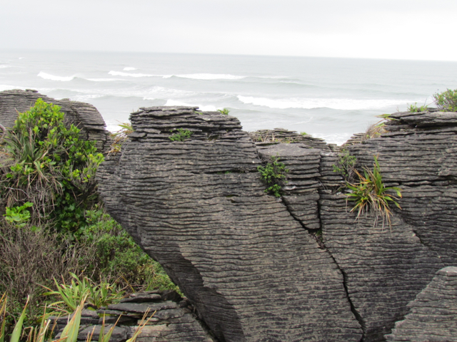 Pancake Rocks. There was spectacular scenery along the coast.