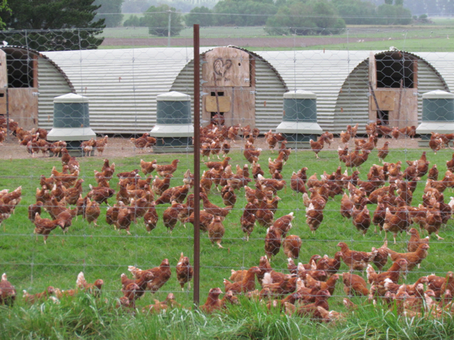 They look so happy that we just had to stop.