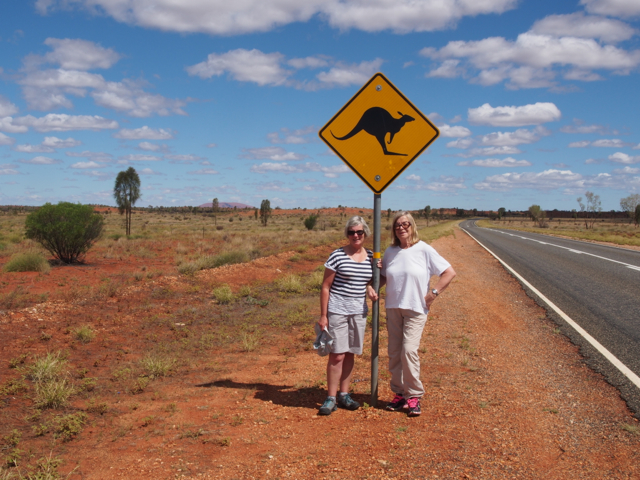 Uluru can just be seen in the background.  This is the only Kangaroo we spotted the whole trip.