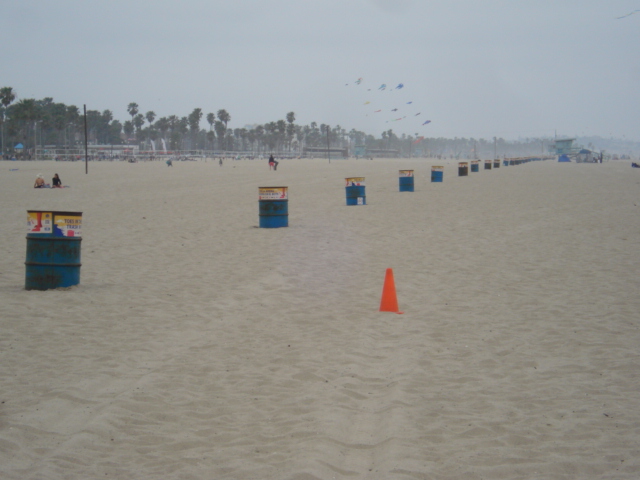 There was also a line of rubbish bins which stretched as far as the eye could see.