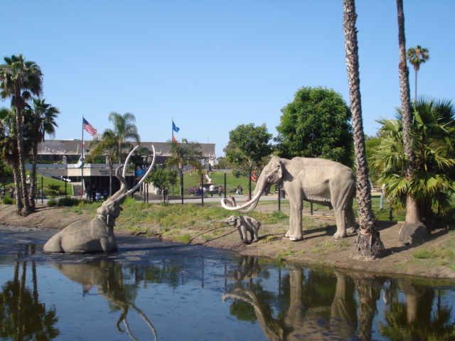 On the way back to our hotel we just had to visit the La Brea Tar Pits. I heard about them back in the 1960s and now I finally got to see them.