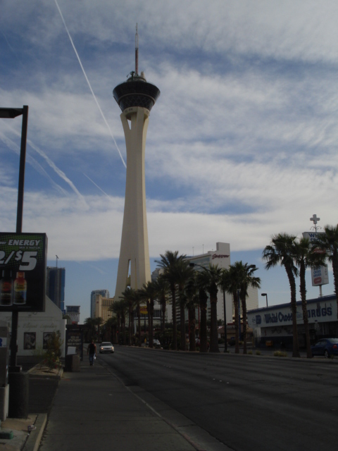 Viva Las Vegas !!! We stayed in the Stratosphere Casino at the end of the strip which has theme park rides on the top of that tower. The child in me couldn't resist.