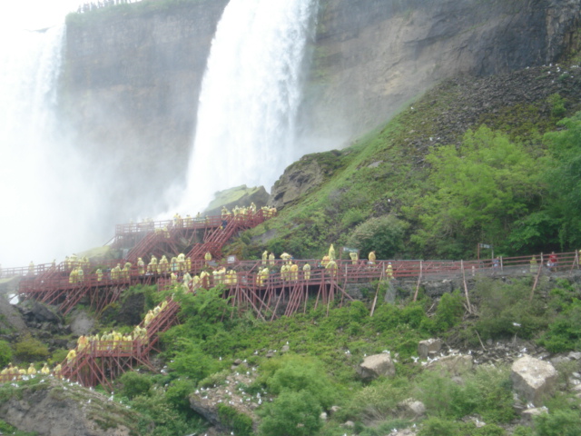 Here are some lemmings on the river's edge.