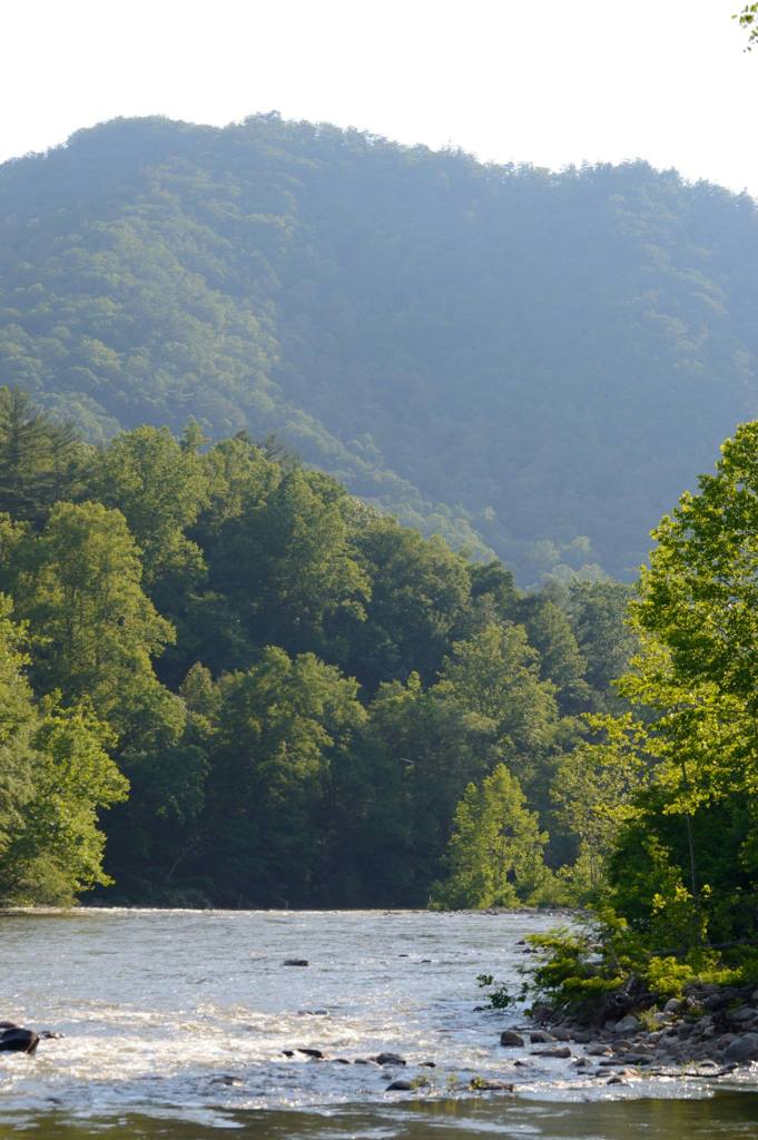 The Nolichucky River, looking west from our cabin.