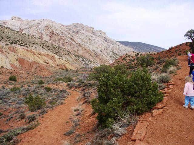 Dinosaur National Monument has many hiking trails. This trail includes nature signs for children, so it is good for families as long as you prepare for the weather, especially drinking water.