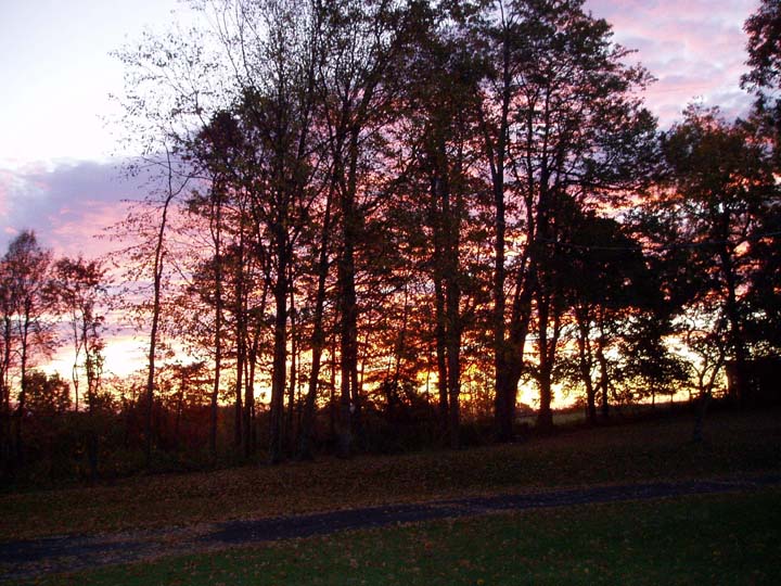 This is the view we had from the back of the house of the sunrise most of the mornings in Virginia.