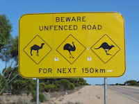 Part of the longest straight stretch of road in Australia.