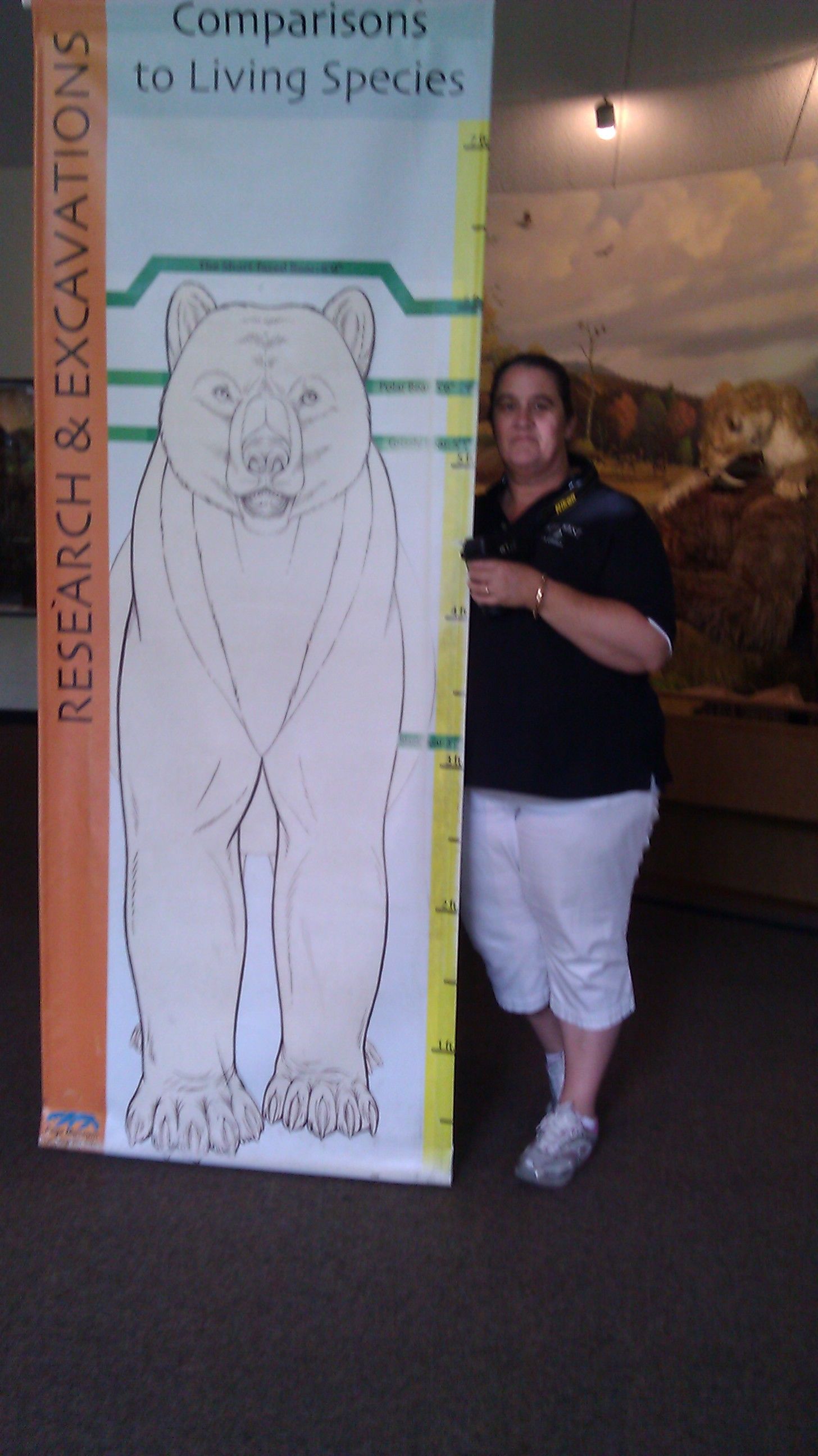 She's a bit taller than a polar bear but shorter than the short faced bear that used to live in LA!