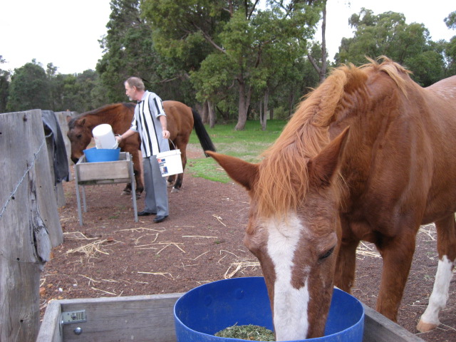 Peter feeding the girls