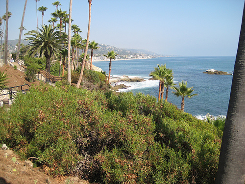 CA/USA Beach-2008