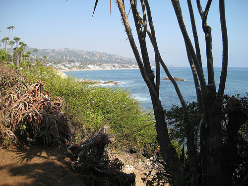 CA/USA Beach-2008